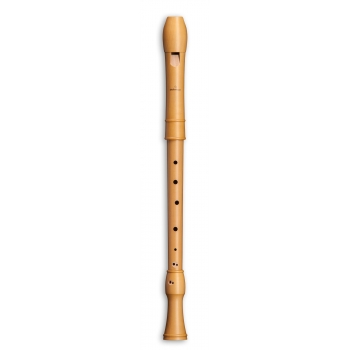 Canta tenor