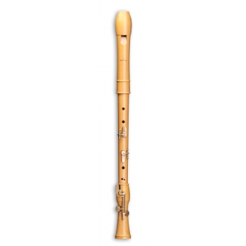 Canta Comfort tenor