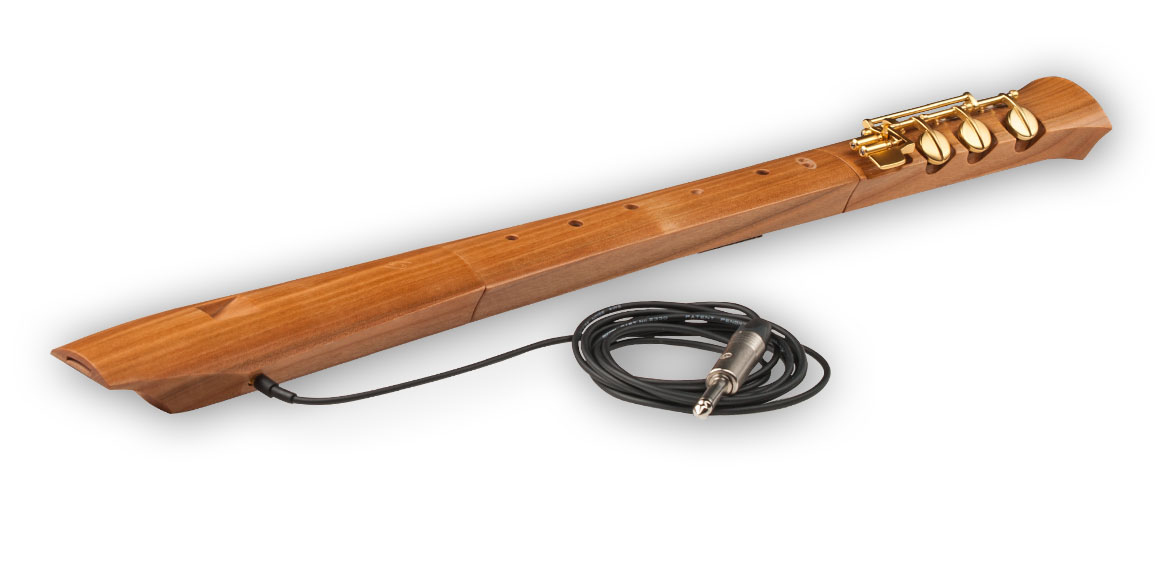 Electric shop recorder flute