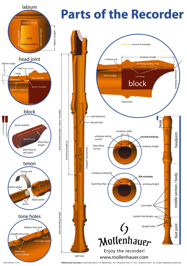 Poster about the parts of the recorder