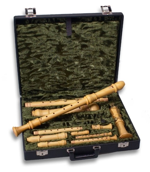Etui für Sopranino-, Sopran-, Alt-, Tenor- und Bassblockflöte (Kunstleder)