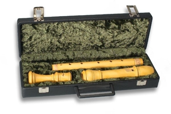 Hard case for tenor recorder