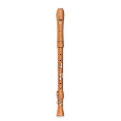 Recorders from Mollenhauer – all different model variations in the
