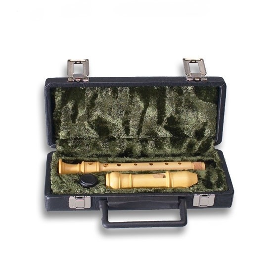 Hard case for soprano recorders two part