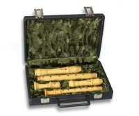 Case for soprano and alto recorder